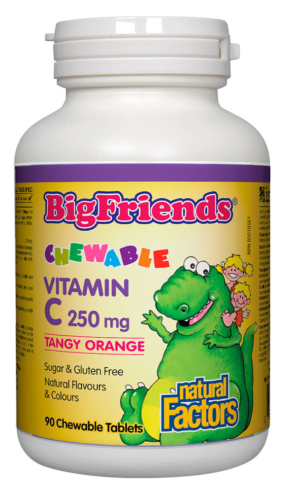NATURAL FACTOR BIG FRIENDS Vitamin C Tangy Orange 250 mg, 90 chews