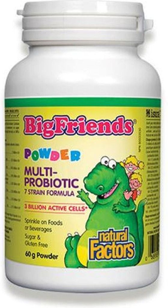 Natural Factors Big Friends Probiotic Powder, 60 gr
