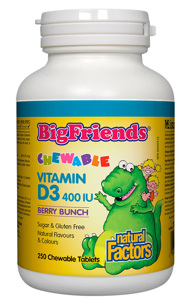 Natural Factors BIG FRIENDS Vitamin D 400iu Berry Bunch, 250 chews