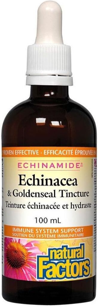 Natural Factors, Echinacea Goldenseal 100 ml