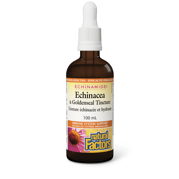 Natural Factors, Echinamide Anti-Cold Tincture 100 ml