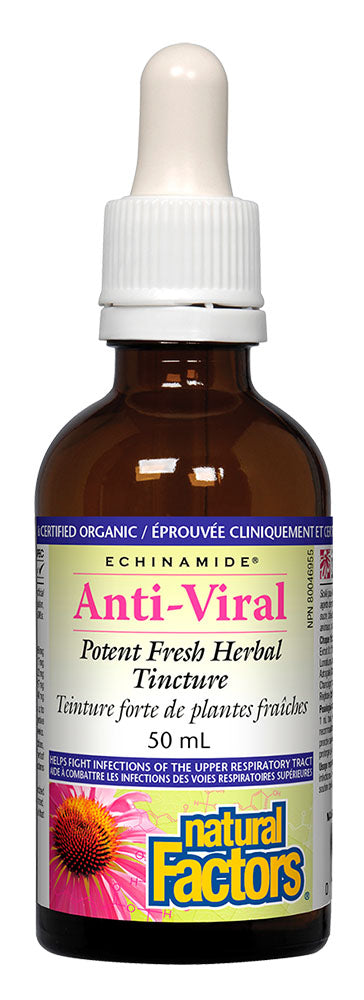 Natural Factors, Echinamide, Anti-Viral Tincture 50 ml