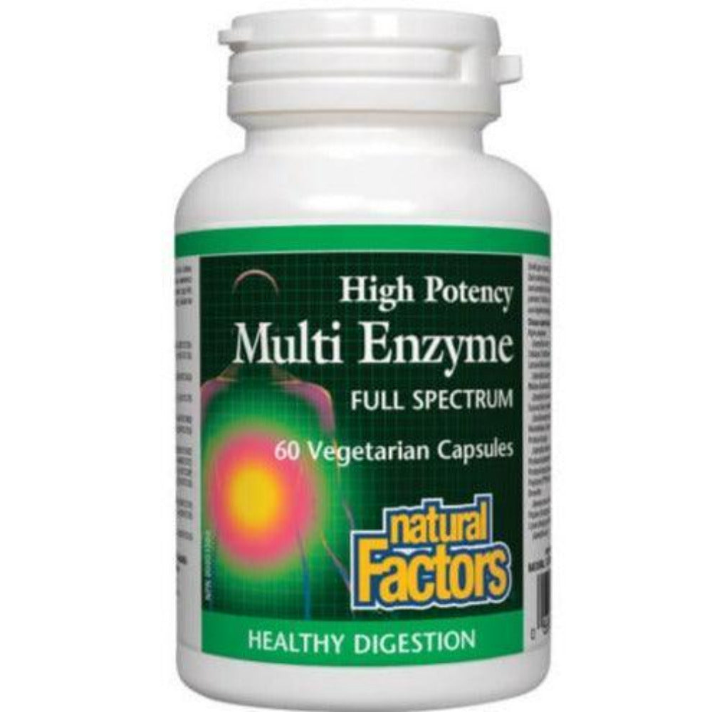 Natural Factors High Potency Multi Enzymes 60 Capsules