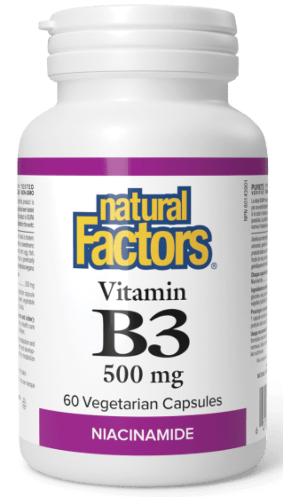 Natural Factors Vitamin B3 500 mg, 60 Vegetarian Capsules