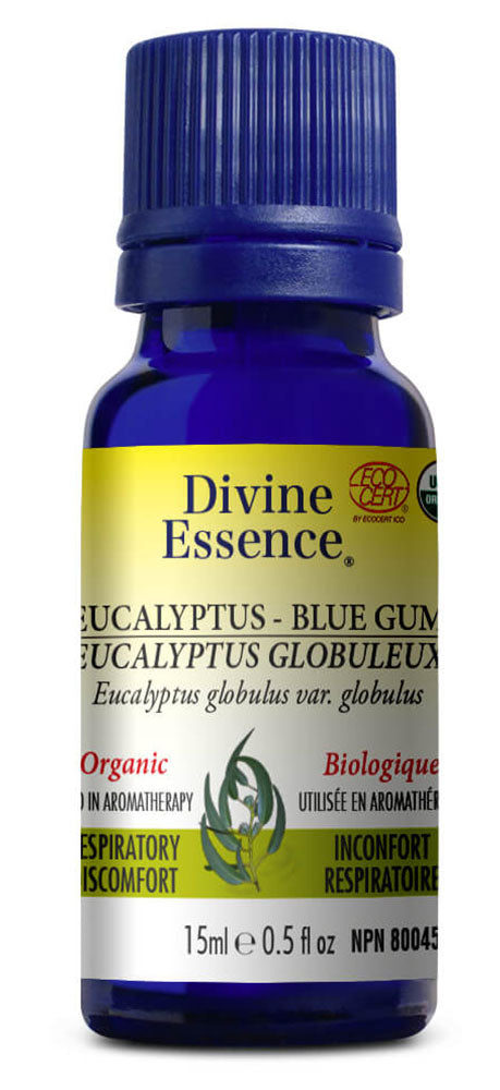 DIVINE ESSENCE Eucalyptus - Blue Gum (Organic