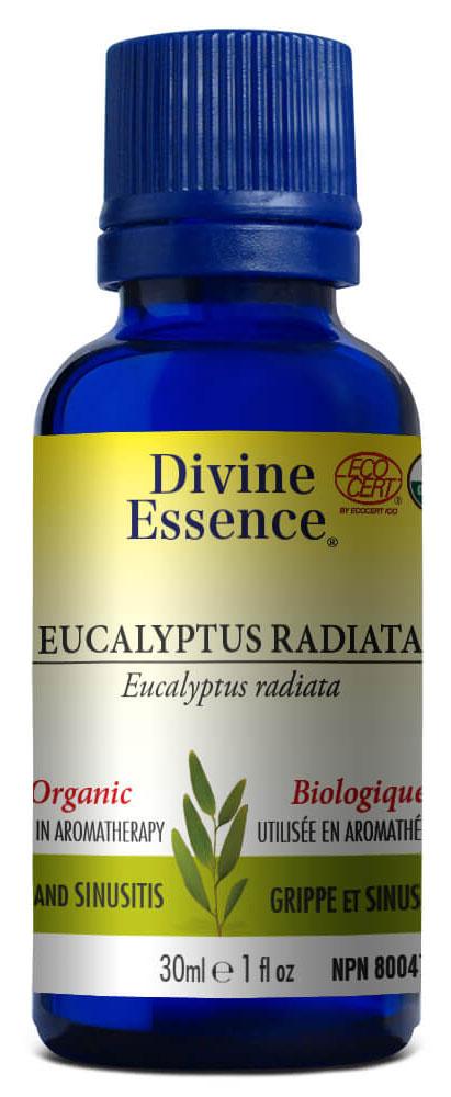 DIVINE ESSENCE Eucalyptus Radiata (Organic
