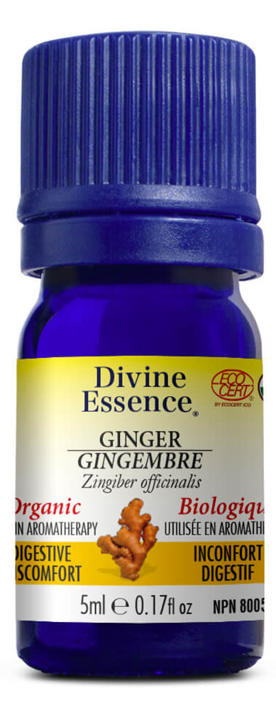 DIVINE ESSENCE Ginger (Organic - 5 ml)