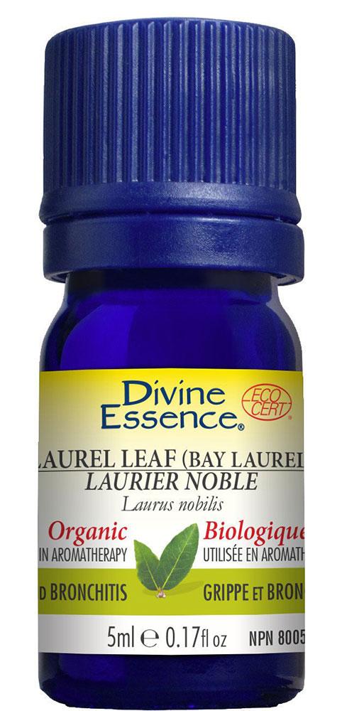 DIVINE ESSENCE Laurel Leaf (Bay Laurel - Org
