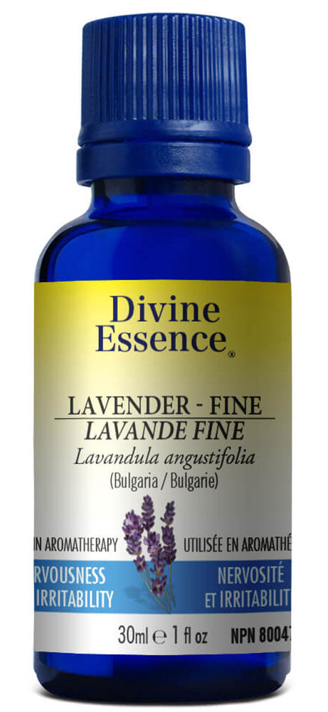 DIVINE ESSENCE Lavender - Fine (Conventional