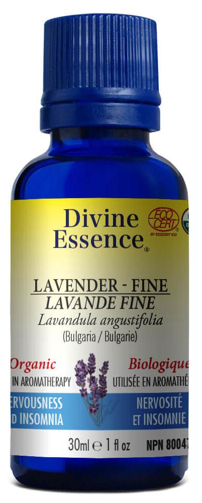 DIVINE ESSENCE Lavender - Fine (Organic