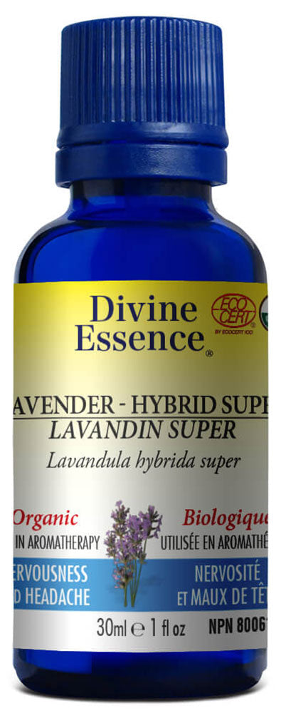 DIVINE ESSENCE Lavender Hybrid Super (Organic