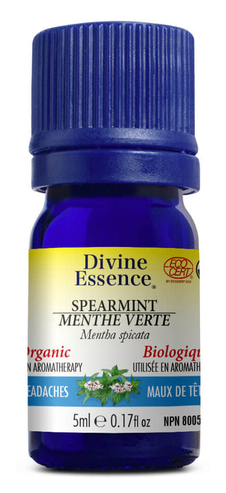 DIVINE ESSENCE Spearmint (Organic