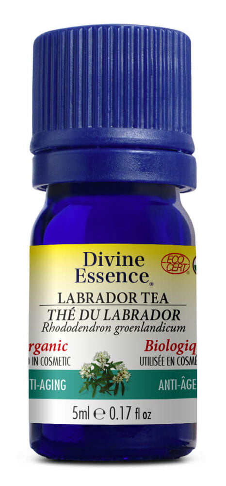 DIVINE ESSENCE Labrador Tea (Organic - 110 ml)