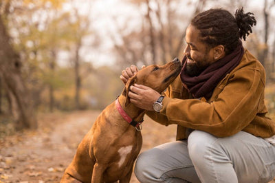 Eliminate these things for a happier you