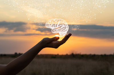 Balance your heart, brain, and gut for optimal mental health