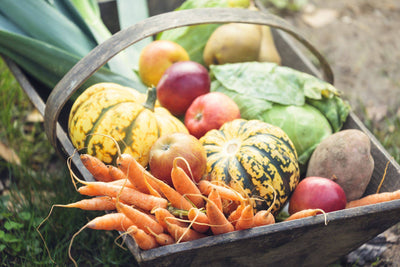 Healthy Living Tips To Adapt This Fall