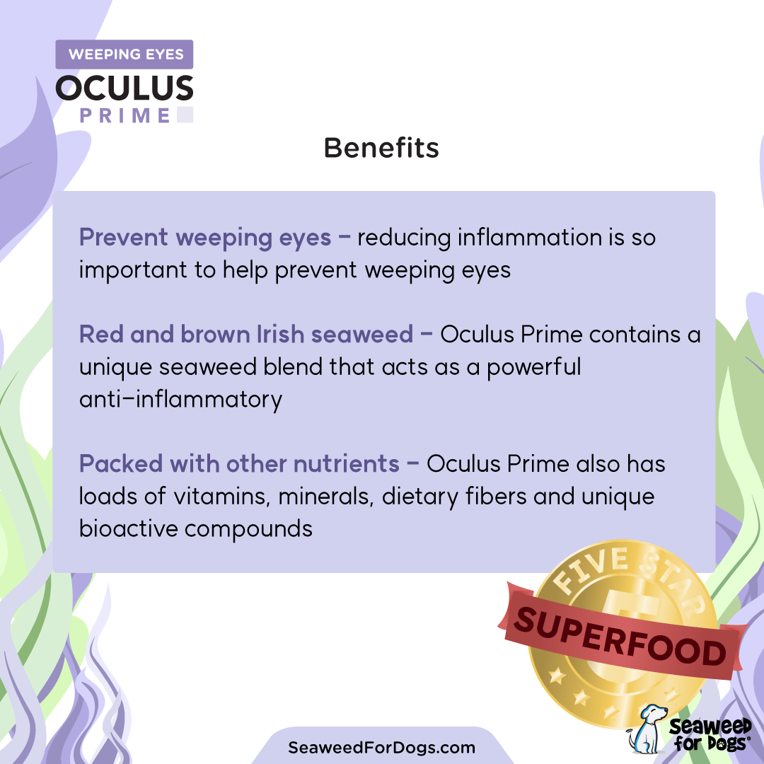 Oculus Prime Close (esc)